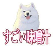 841643708