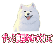 841643719