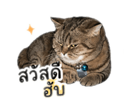 841644489