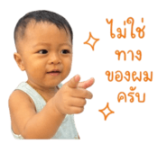 841644586