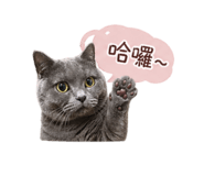 841645537