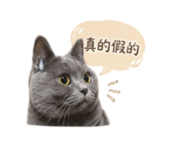 841645555