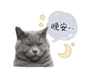 841645560