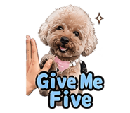 841645925