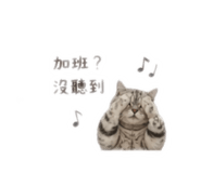 841646617