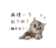 841646620