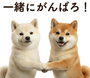 841647269