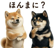 841647274