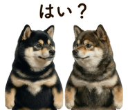 841647275