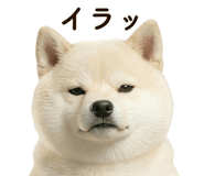 841647278