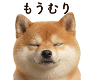 841647280