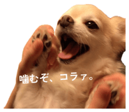 841647946