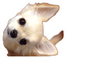 841647947