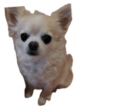 841647949