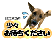 841648731
