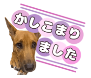 841648735