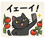 841649562