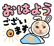 841649974
