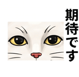 841650121