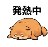 841650405