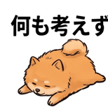 841650409