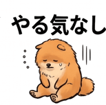 841650415