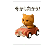 841650467