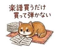 841650911