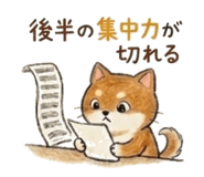841650914
