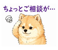 841651916