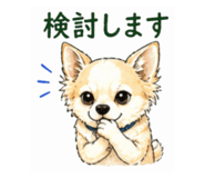 841652022