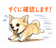 841652023