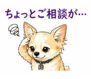 841652028