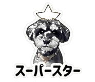 841652349