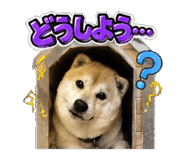 841652446
