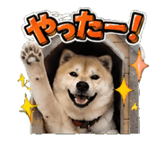841652448