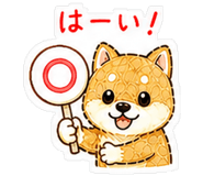 841652966
