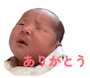 841653261