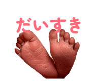 841653271