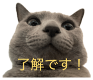 841653709