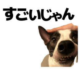 841653726
