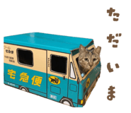 841654316