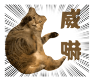 841654320