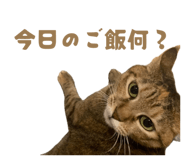 841654323