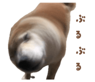 841654326