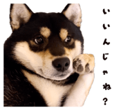 841654334