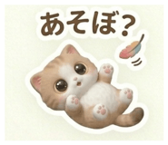 841654731