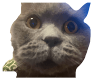 841654882