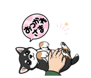 841655068