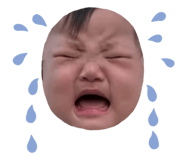 841655407
